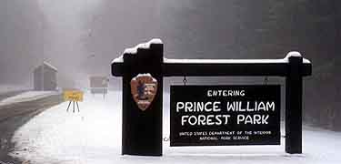 Winter at Prince William Forest Park